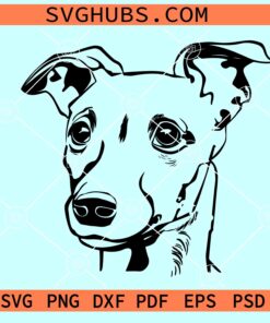 Whippet Dog Face SVG, Whippet Dog SVG, Whippet greyhound SVG