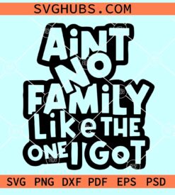 Ain't No Family Like The One I Got SVG, family love SVG, family summer SVG