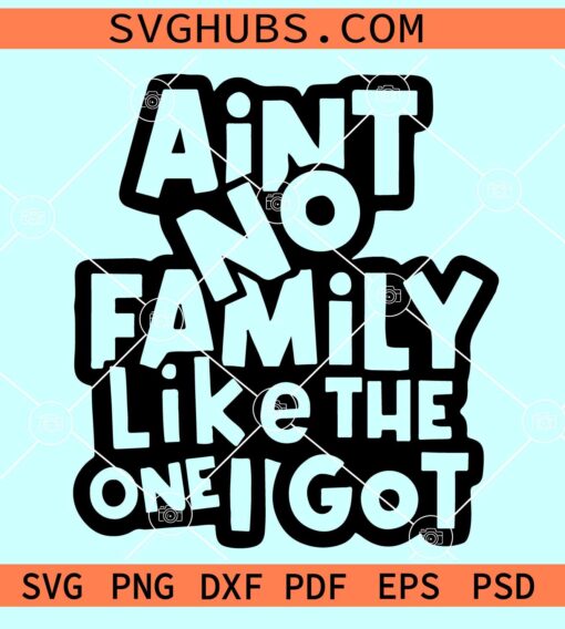 Ain't No Family Like The One I Got SVG, family love SVG, family summer SVG