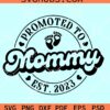 Promoted to mommy est 2023 SVG, pregnancy reveal svg, mama est svg