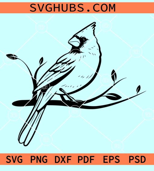 Cardinal bird SVG, Cardinal on Branch SVG, Cardinal Svg