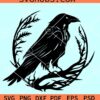 Crow bird SVG, crow svg, crow clipart, raven crow svg