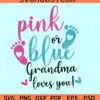 Pink or Blue Grandma loves you SVG, Boy or girl svg, Pink or blue gender reveal svg