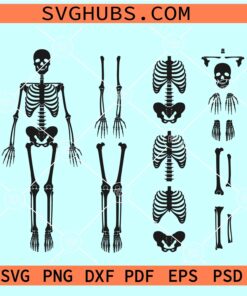 Skeleton Parts SVG, Skeleton parts bundle SVG, human skeleton SVG, Halloween costume SVG, Halloween bones SVG