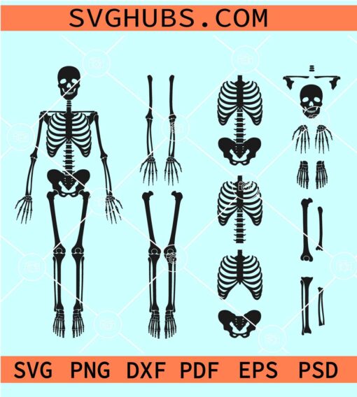 Skeleton Parts SVG, Skeleton parts bundle SVG, human skeleton SVG, Halloween costume SVG, Halloween bones SVG