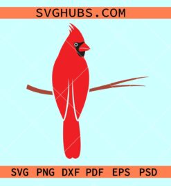 Cardinal Bird on branch svg, Cardinal Bird svg, cardinal svg