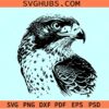 Falcon bird svg, falcon clipart, falcon silhouette, Falcon svg