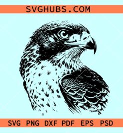 Falcon bird svg, falcon clipart, falcon silhouette, Falcon svg