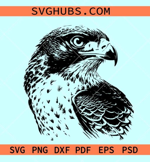 Falcon bird svg, falcon clipart, falcon silhouette, Falcon svg