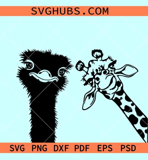 Funny animals peeking svg, ostrich and giraffe peeking svg, Funny animals svg