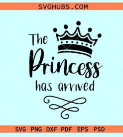 The princess has arrived SVG, baby onesie svg, Newborn svg, hello world svg
