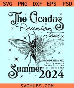 Cicada Concert Tour 2024 svg, Cicada shirt svg, Cicada reunion Svg