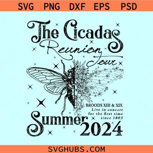 Cicada Concert Tour 2024 svg, Cicada shirt svg, Cicada reunion Svg