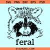Feral Raccoon SVG, kids raccoon svg, cute raccoon SVG, jungle animal svg