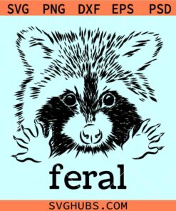 Feral Raccoon SVG, kids raccoon svg, cute raccoon SVG, jungle animal svg