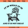 It Is What It Is and It Is Not Great SVG, funny Raccoon PNG, Trash Panda Svg, Opossum png