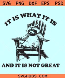 It Is What It Is and It Is Not Great SVG, funny Raccoon PNG, Trash Panda Svg, Opossum png