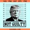 Trump Not Guilty Svg, Trump Mugshot svg, Pro America Svg, Free Trump Svg