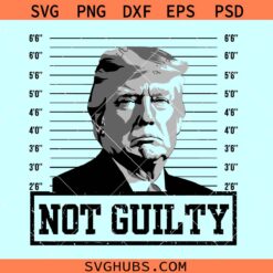 Trump Not Guilty Svg, Trump Mugshot svg, Pro America Svg, Free Trump Svg
