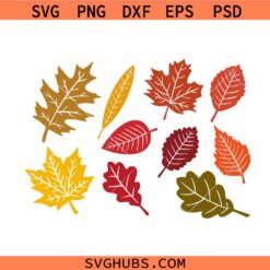 Fall leaves SVG, Maple fall leaves svg, autumn leaves svg, Thanksgiving leaves svg