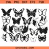 Butterfly SVG, Cute Butterfly SVG, Monarch Butterfly SVG