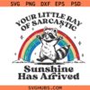 Your Little Ray Of Sarcastic Sunshine Has Arrived svg, Funny Raccoon SVG, Raccoon Shirt SVG