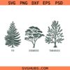 Fir Dogwood Tamarack SVG, FDT SVG, Tree Anti Trump SVG, FDT Tree SVG