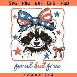 Feral but free svg, Trashy America Svg, Raccoon 4th Of July Svg     