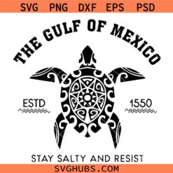 Gulf of Mexico Stay Salty Resist SVG, Gulf of Mexico SVG, Patriotic Shirt SVG, Resist SVG