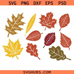 Fall leaf svg bundle, Fall Leaves Svg png, Fall svg,  Fall png, clipart, Cut files for Cricut, Glowforge files