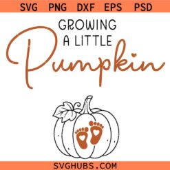 Growing A Little Pumpkin SVG, Fall Design SVG, Pregnancy Announcement SVG, Gender Reveal SVG