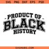 Product of Black History Bundle PNG svg, Celebrate School Black History svg png, Black Leaders svg, Black Historical Icons svg