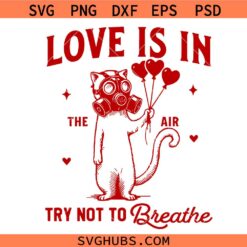 Retro Love is in The Air Try Not To Breathe svg png, Valentines svg png, Cat Valentines svg