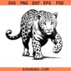 Jaguar svg png, Leopard svg png, Cheetah svg png, African Animal svg png, Savanna Predator svg png, Jaguars Clipart svg png