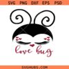 Little love bug svg, love ladybug svg, ladybug svg, valentines day svg, happy valentine's day svg, love svg