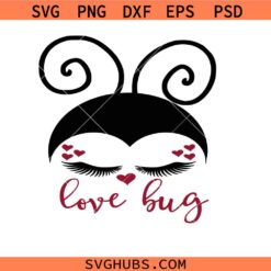Little love bug svg, love ladybug svg, ladybug svg, valentines day svg, happy valentine's day svg, love svg