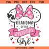 Grandma of the Birthday Girl Disneyland trip Svg Png, Minnie Birthday Party Svg Png