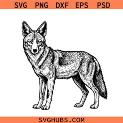 African Jackal SVG, Wild Dog svg, Jackal svg
