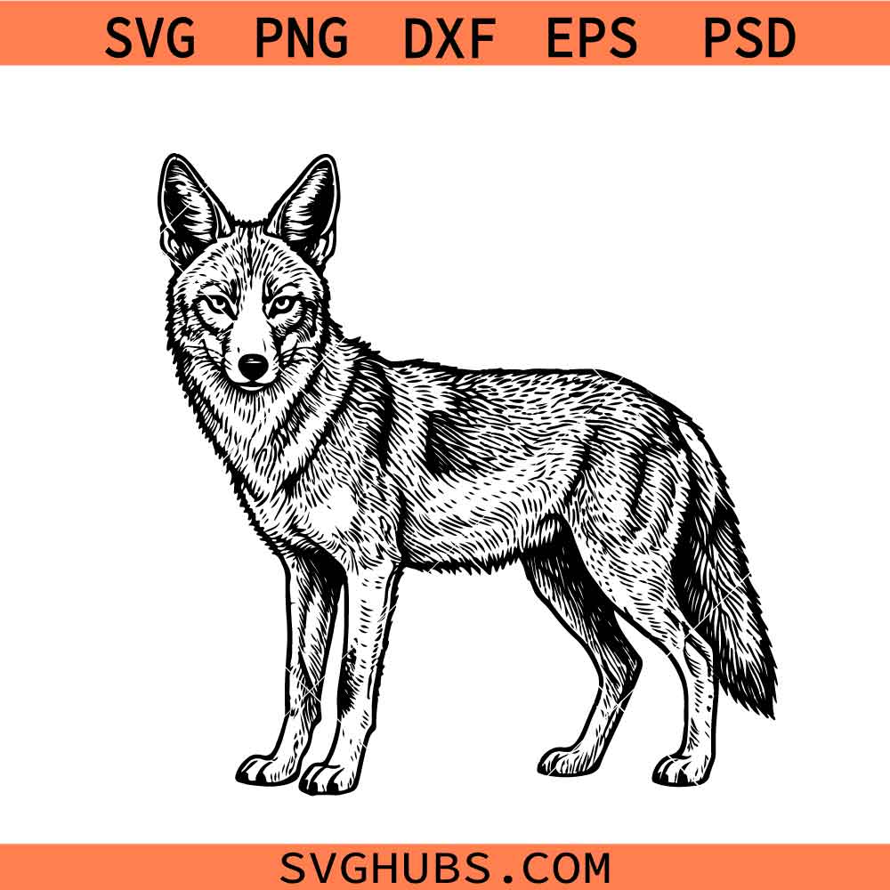 African Jackal SVG, Wild Dog svg, Jackal svg