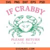 If Crabby Return To The Beach svg png, Beach Retro Summer svg, Summer Crabby Svg