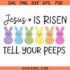 Jesus is Risen Tell Your Peeps Svg, Kids Easter Svg, Christian Easter Svg