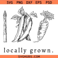 Locally Grown Vegetable Pregnancy Announcement Svg Png, New Baby Svg Png, Reveal Pregnancy Svg Png