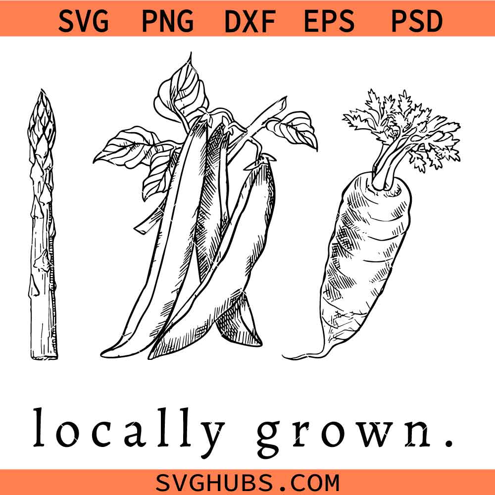 Locally Grown Vegetable Pregnancy Announcement Svg Png, New Baby Svg Png, Reveal Pregnancy Svg Png