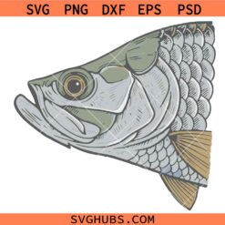 Fish Head Fishing svg, Bass Fish Close Up svg, Outdoor Fishing svg, Fisherman svg