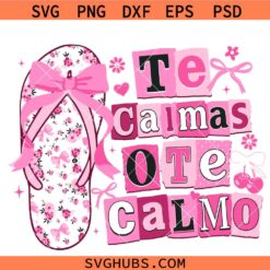 Y2K Spanish Funny Mother’s Day SVG, Spanish Mom svg, Funny Latina Mom SVG, Hispanic svg