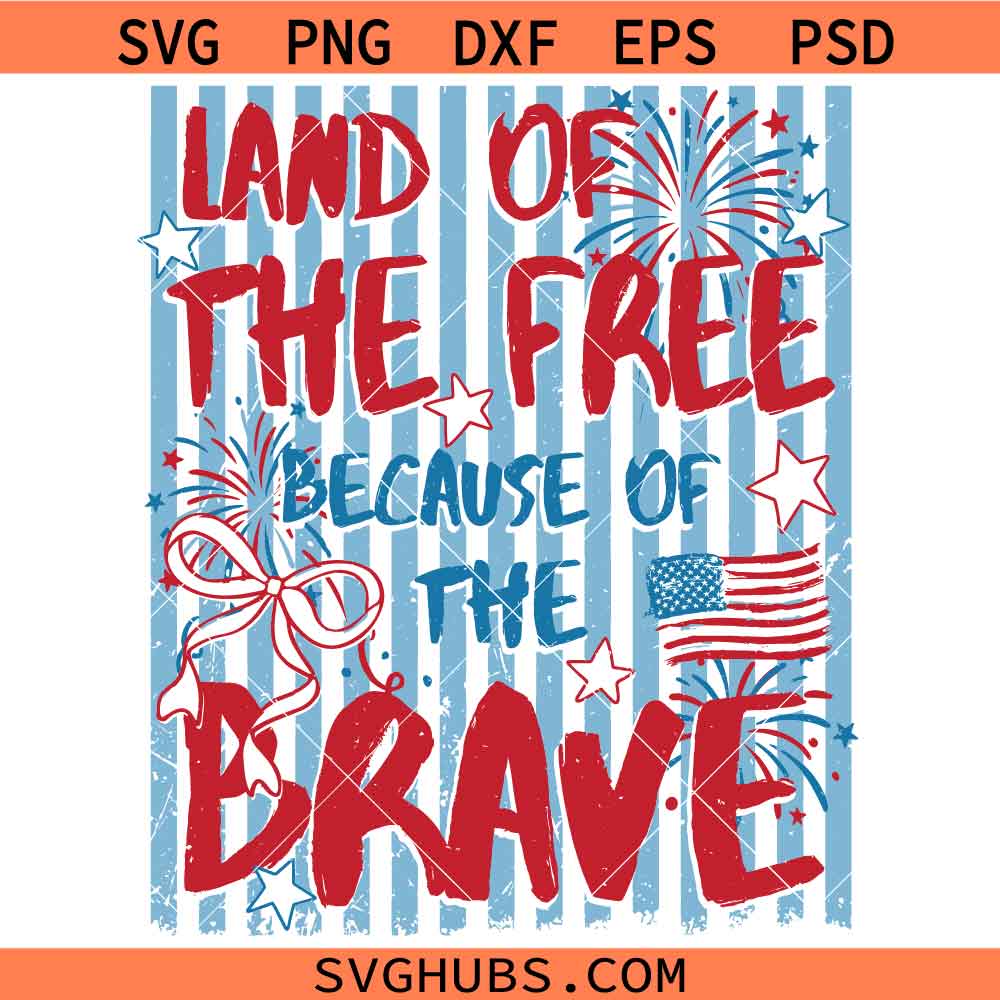 Stripped Land Of The Free Because Of The Brave svg, Veteran Day Svg