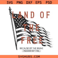 USA Flag Land Of The Free svg, America Land Of The Free SVG, America Since 1776 Patriotic svg