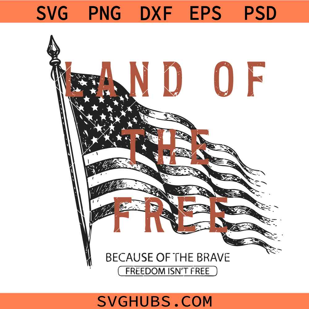 USA Flag Land Of The Free svg, America Land Of The Free SVG, America Since 1776 Patriotic svg
