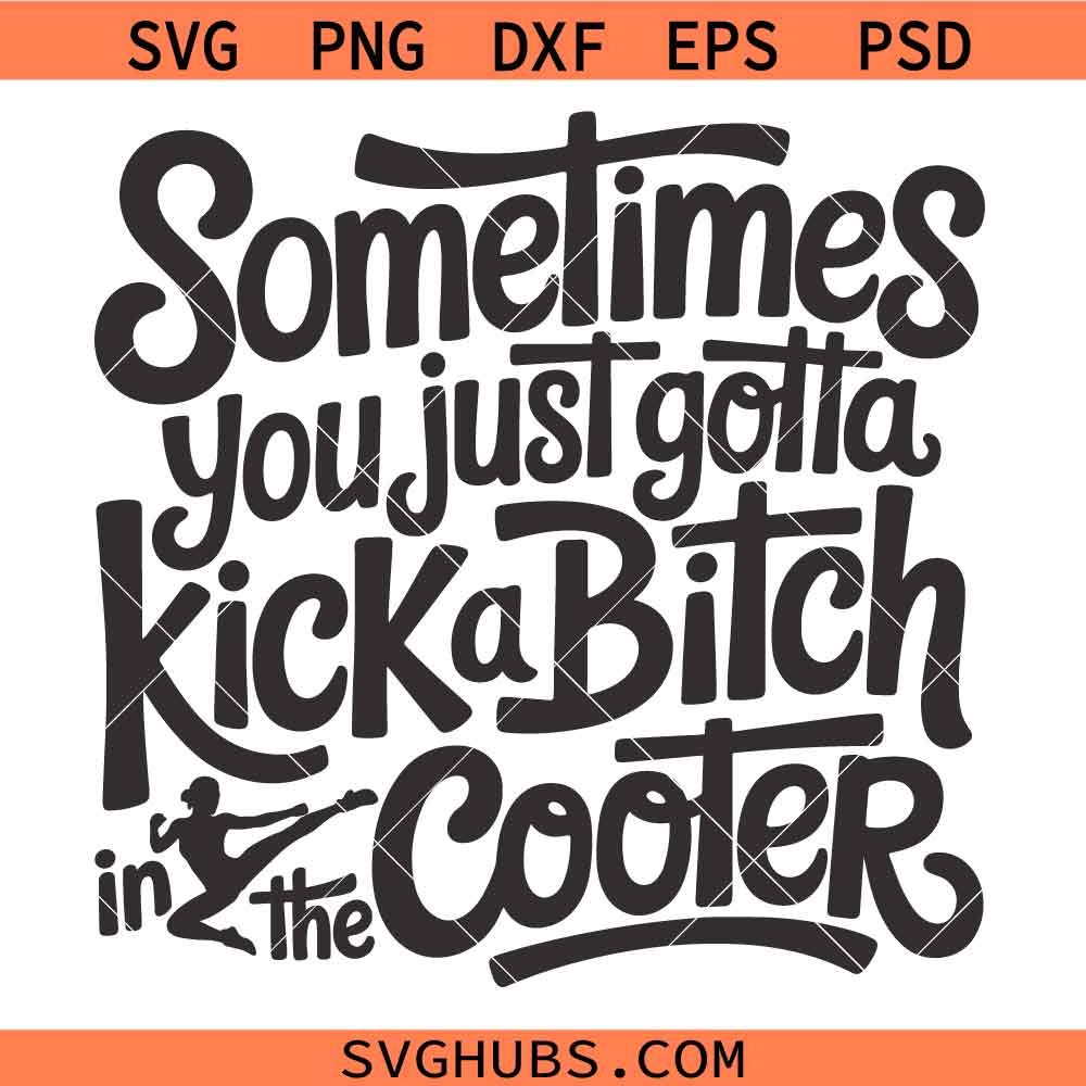 Sometimes you just gotta kick a bitch in the cooter SVG, Adult Humor SVG, Sarcasm SVG