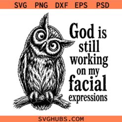 God is Still Working On My Facial Expressions SVG, Sarcastic Owl Svg, Owl Humor SVG